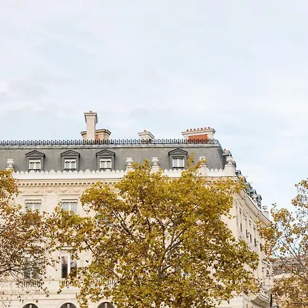 Veeve - Yves Klein Blue Dream * Paris